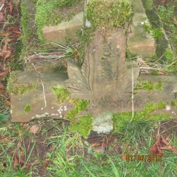26. In memory of JENNIE BROWN aged 17 years died 26th November 1875 My beloved went into the garden to gather lilies