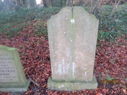 67. AGNES LOUISA HIGGINS born 25th March 1855 died 11th July 1940 wife of Frederick Higgins of Alford