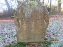 73. JOHN MOSES husband of MINNIE PARROTT died suddenly 25th July 1917 aged 31