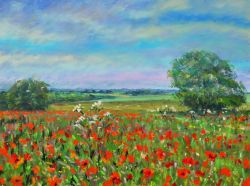 Peter-Wood-paint-poppies2