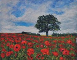Peter-Wood-paint-poppies3