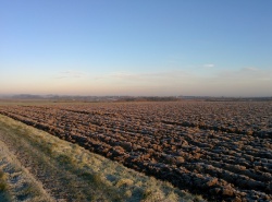 Louth from fields of the Lincolnshire Wolds