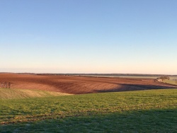 Rolling Lincolnshire Wolds at Burwell