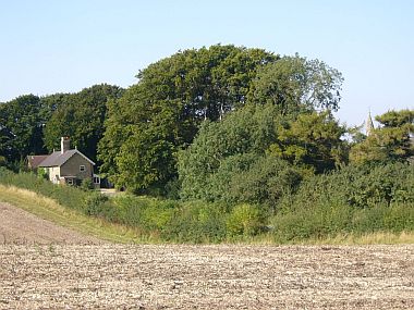 Rigsby Cottages from the field