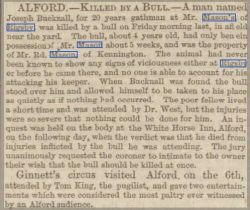 Killed by a Bull-Rigsby