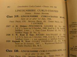 Lincolnshire Curly Coated Boar 1946