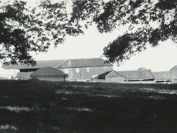 Rigsby Yard 1947