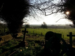 Rigsby St James morning sun over graves