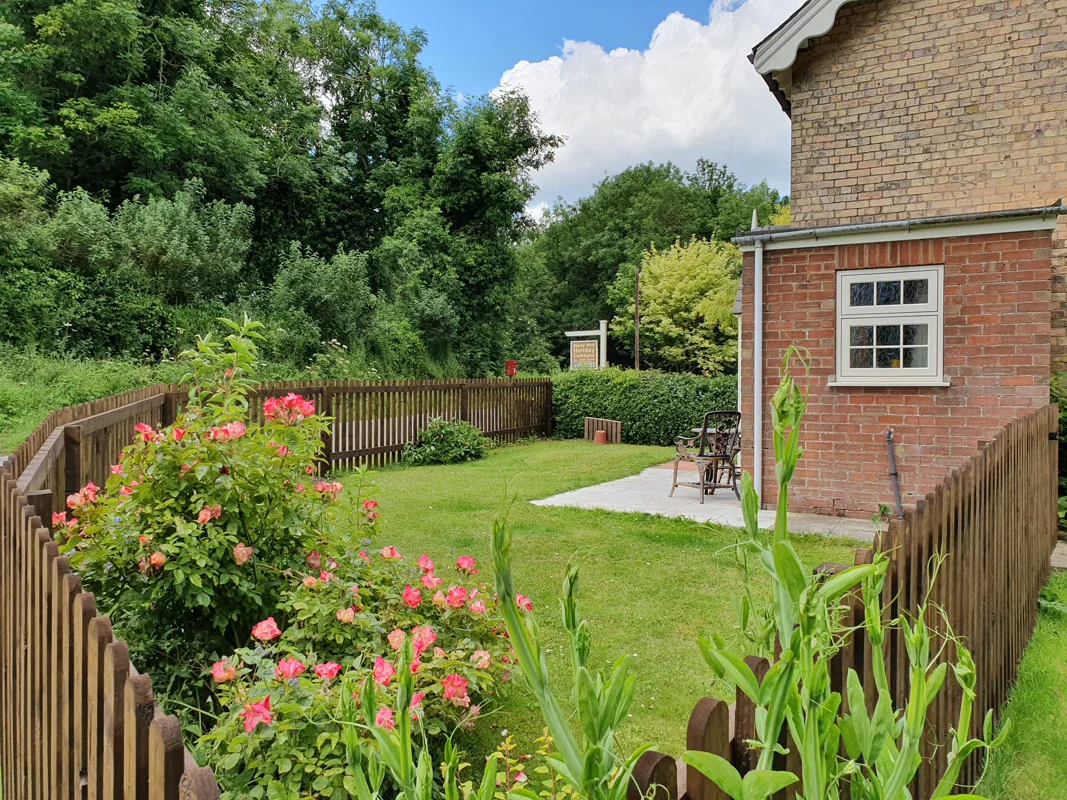 Brick cottage garden with vibrant pink roses, green lawn, wooden fence, and sunny sky.