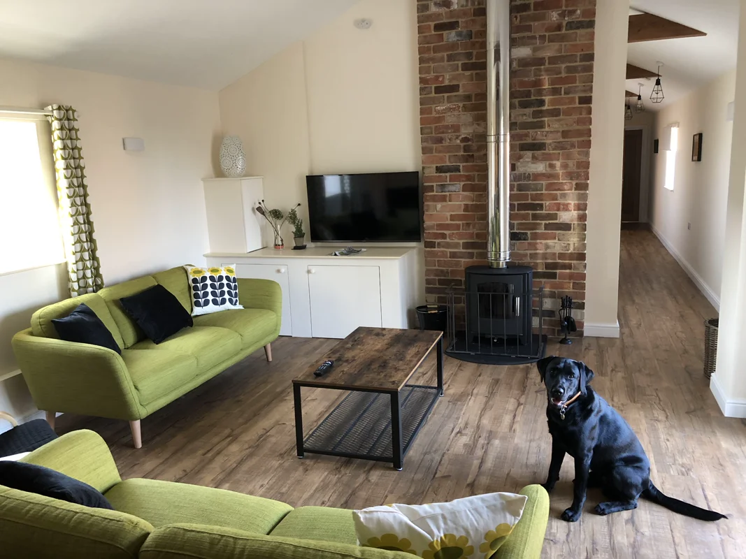 Bright living room with green sofa, brick fireplace, black dog, TV, and wooden floors.