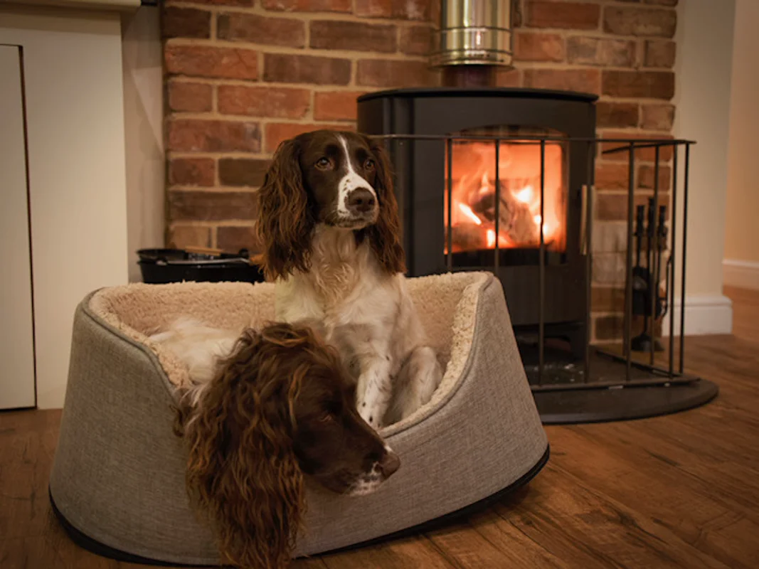 Two spaniel dogs resting in a plush bed near a burning fireplace