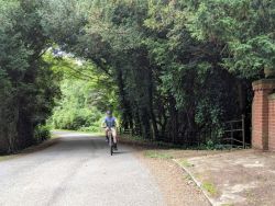 Quiet lanes enjoyed