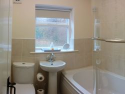 Owl bathroom