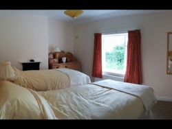 Owl Bed 2