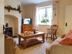 Owl Living Room