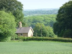Rigsby Wold Cottages from field