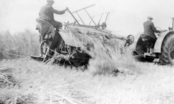 Massey-Harris Binder