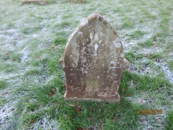 115. JAMES son of Machin and Maria WELLS born August 9th 1877 died at AILby August 6th 1884