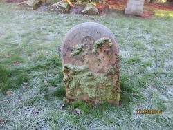 116. ALICE RICHARDSON SIMONS departed June 12th? 1864 aged 20