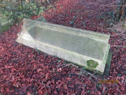 23. Tomb: In loving memory of THOMAS CARTWRIGHT JOHNSON who died december lst 1898 aged 74 years. It is better if the will of God be so:.