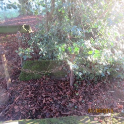 27. Tombs: MARY WEST followed her beloved daughter ANNIE July 4th 1866 aged 57 years