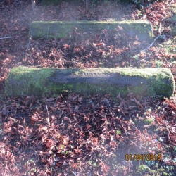29. In memory of JANE loving wife of GEORGE ATKINSON who died at Alford Aeptember 9th 1858 aged 28 years