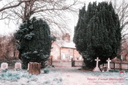 Pheasant-Cottage-Rigsby