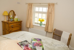 Owl master bedroom